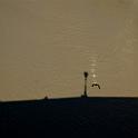 038DSC_0071