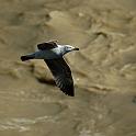 043DSC_0057