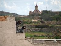 Gozo