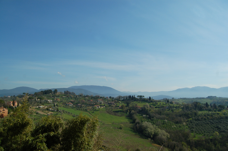DSC_0009.jpg