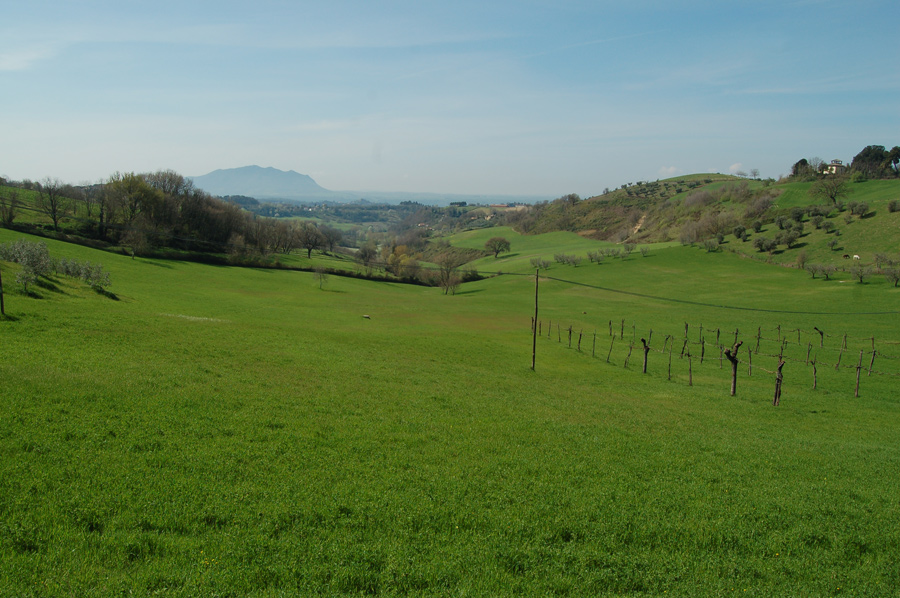 DSC_0049.jpg