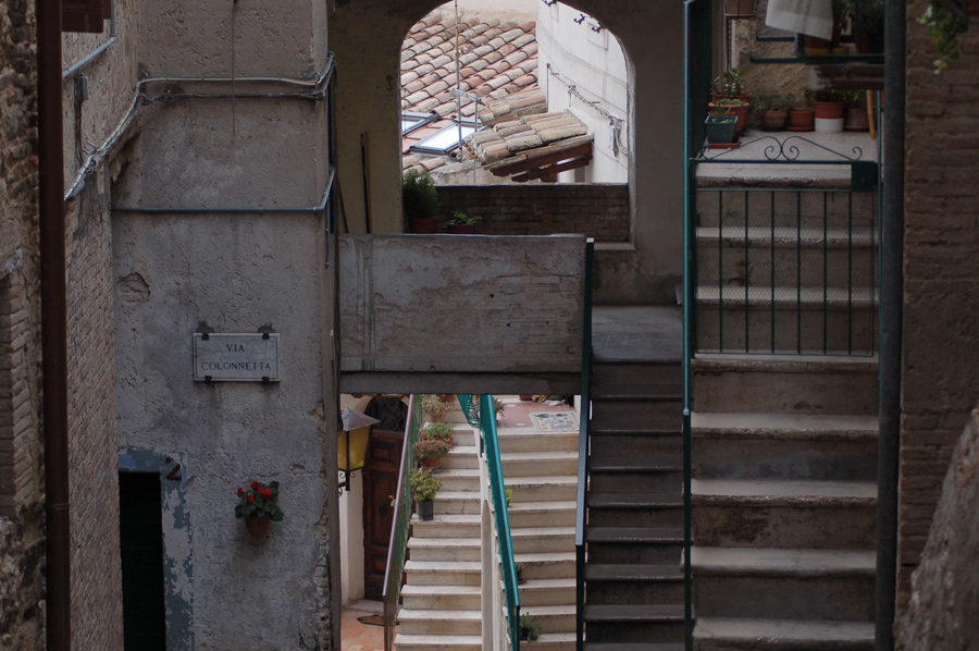 DSC_0062b.jpg