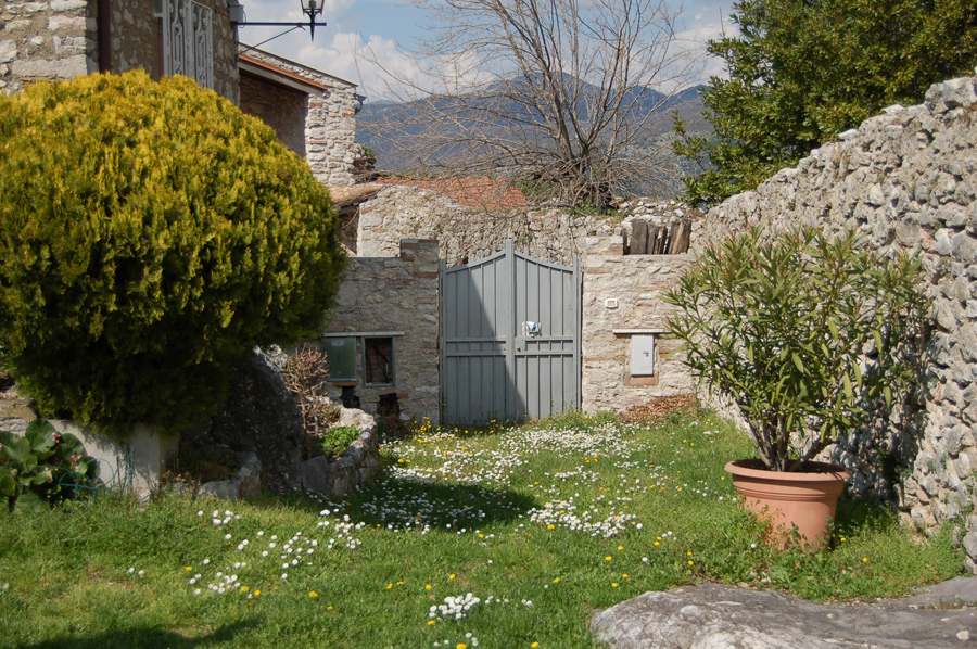 DSC_0127.jpg