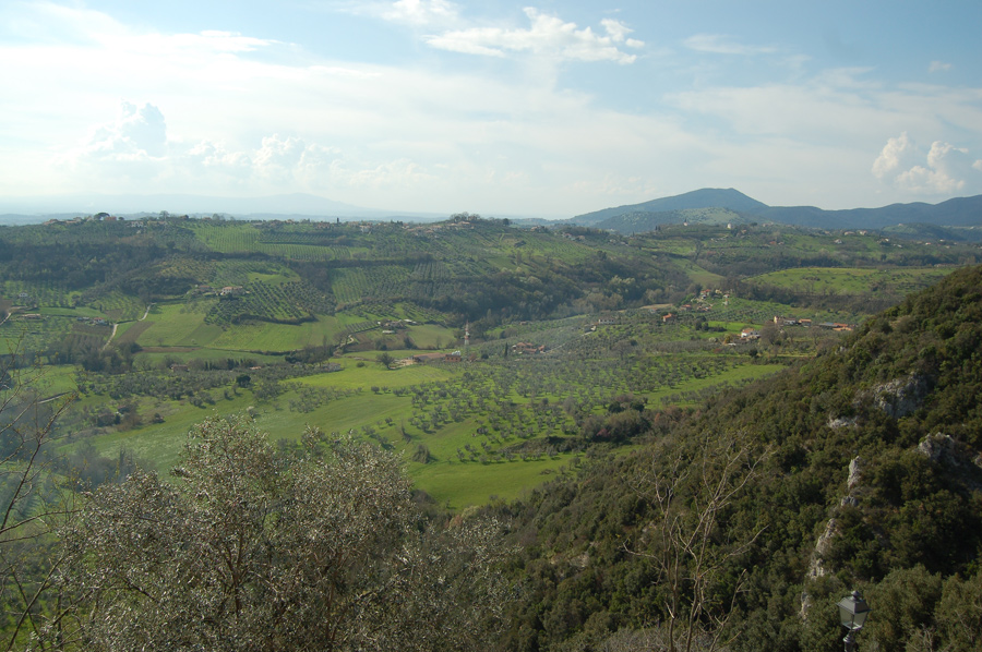 DSC_0168.jpg